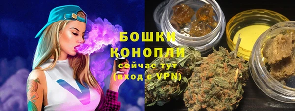 сатива Краснотурьинск