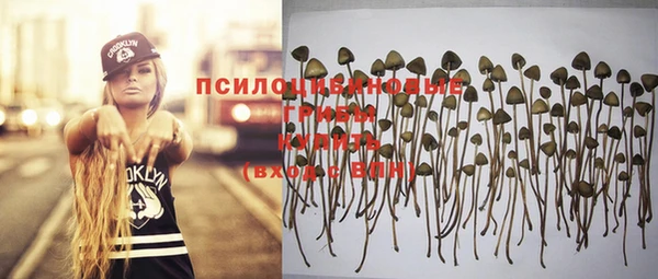 ECSTASY Краснослободск